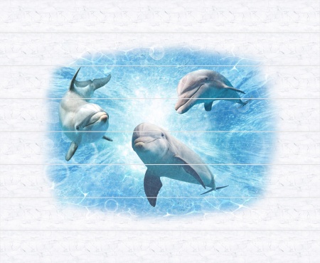 delfins1