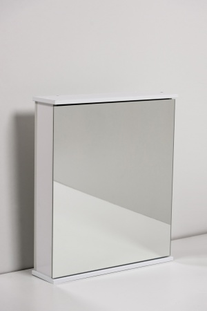 Шкаф зеркальный Мимоза 600 (1)